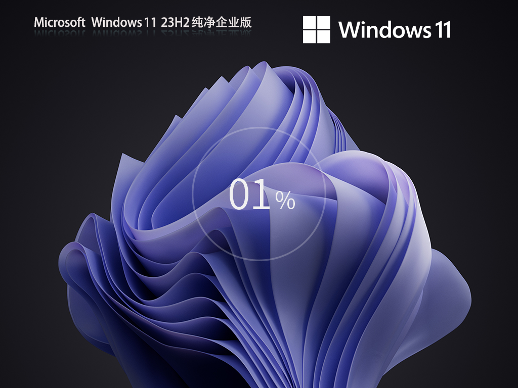 【企业必备】Windows11 23H2 64位 纯净企业版