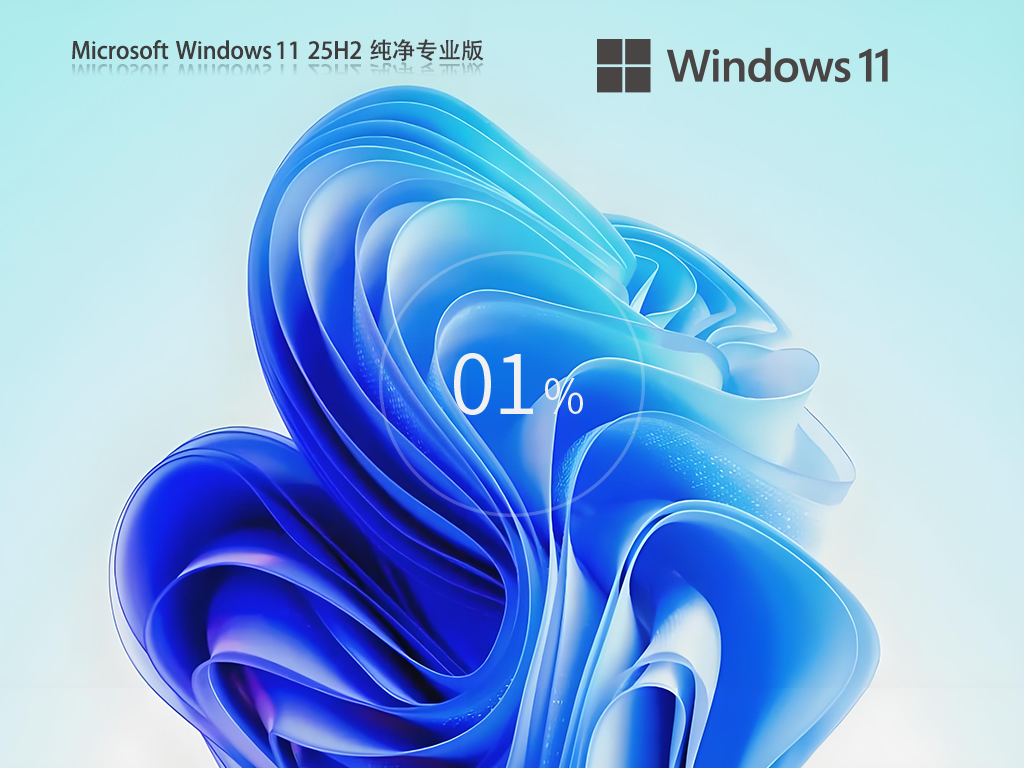 Windows11 25H2专业纯净版64位系统