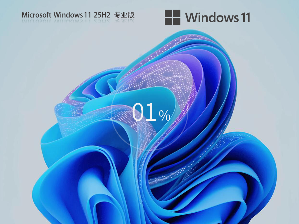 【01.29】Win11 25H2 64位专业版镜像